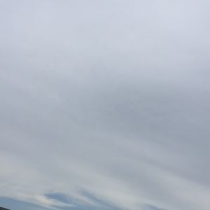 Meet your Posher, Tyrese